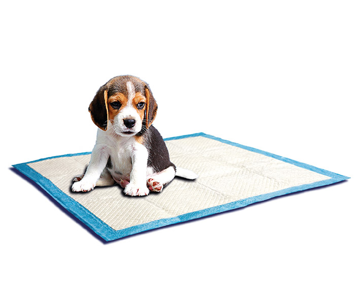 TAPETE SUNNY ENTRENADOR PARA MASCOTAS 8 PZAS PUPPY TRAINER ( 58 X 56 CMS )